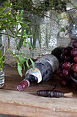 Dusty bottle of red wine with mistletoe and grapes in London townhouse, England, UK