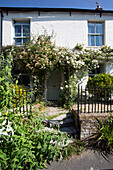 Whitewashed cottage exterior overgrown with roses, Dorset, England, UK
