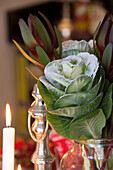 Frosted ornamental cabbage (Brassica oleracea) with lit candle in Surrey home   England   UK