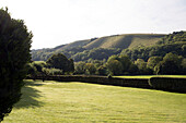 Hedge and lawn of rural Sussex country house England UK