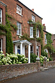 Climbing plants on brick exterior of Arundel home West Sussex England UK
