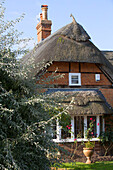 Thatched roof detail on Grade II listed brick cottage in Hampshire England UK