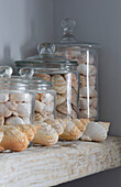 Seashells and storage jars in Sussex beach house England UK