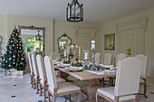 Cream dining chairs at table with Christmas tree in Kent country house England UK