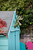 Turquoise shed with gold reindeer head in Kidderminster garden Worcestershire England UK