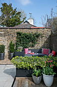 Grey seating with tulips in backyard of London home UK