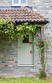 Climbing rose on tiled porch exterior of Somerset farmhouse UK