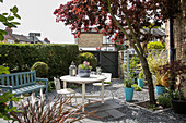 Courtyard garden with furniture below tree in backyard of London terraced house UK