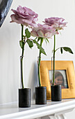 Three single stem roses with family photo on mantlepiece in North London home UK