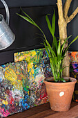 Farbpaletten und Zimmerpflanze im Terrakottatopf in einer umgebauten walisischen Scheune, Großbritannien