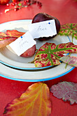 Äpfel und Herbstlaub auf einem Tisch im Garten auf der Isle of Wight, UK