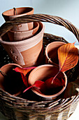 terracotta flower pots and Autumn leaves in basket Isle of Wight, UK