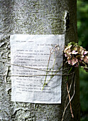 Getrocknete Blumen und ein mit Schnur gebundener Brief an einem Baumstamm auf der Isle of Wight, Vereinigtes Königreich