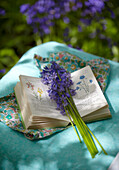 Open book and bluebells (Hyacinthoides non-scripta) on table in spring