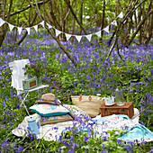 Picnic cushions and hampers with radio and bunting in bluebell woods (Hyacinthoides non-scripta)