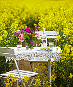 Tisch und Stühle mit Schnittblumen in einem Feld mit Raps (Brassica napus)