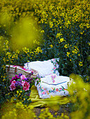 Korb und Kissen in einem Feld mit blühenden Rapssamen (Brassica napus)