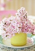 Pink blossom in yellow vase