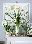 Osterstillleben mit Einmachgläsern und Vasen gefüllt mit Frühlingsblumen