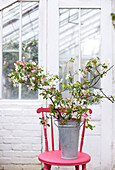 Metal bucket with branches of blossom om bright pink chair in greenhouse
