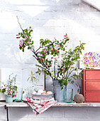 Metal bucket with branches of blossom om bright pink chair in greenhouse
