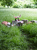 Picknick auf der Wiese mit Teppich, Kissen und Fingerhut