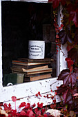 Exterior of house and window with autumnal Virginia creeper