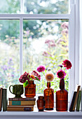 Braune Glasvasen in einer Reihe neben einem Fenster, gefüllt mit Dahlien