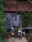 Rustic garde shed exterior with steps filled with autumnal produce such as pumpkins and apples and candles