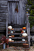 Rustikaler Gartenschuppen mit Stufen, gefüllt mit herbstlichen Produkten wie Kürbissen und Äpfeln und Kerzen