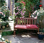 Country cottage garden with bench