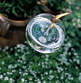 Glas-Ölbrenner auf einer Stange im Garten