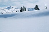 Snowy landscapes in the Whistler resort Canada