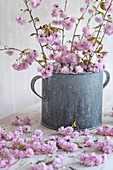 Still life of blossom in zinc bucket