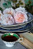 Roses and vintage teacup