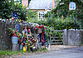 Bicycle, stall with pumpkins and flowers