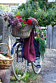 Fahrrad mit Korb voller Blumen und Einkaufstasche an einer Steinmauer