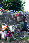 Bicycle, bicycle basket with flowers and autumn vegetables next to a stone wall