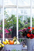 Autumn vegetable harvest and flowers in front of window