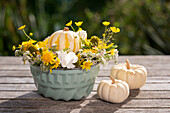 Autumnal arrangement of yellow flowers and ornamental pumpkins in cake pan