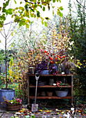 Autumnally decorated garden shelf with plants and garden tools