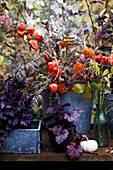 Autumnal plant arrangements with lantern flowers in metal pots