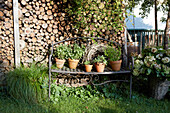 Metallbank mit Blumentöpfen aus Terrakotta vor Holzstapel im Garten