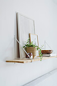 Wall shelf with pictures, plant and book