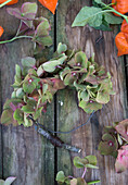 Wreath made of hydrangea blossoms