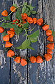 A wreath of Chinese lanterns and European smoketree leaves