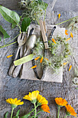 Leinenserviette, mit Silberbesteck, Herz aus Clematis-Fruchtständen, Ringelblumen und Namenskärtchen