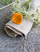 Linen napkin with marigolds (Calendula officinalis), and napkin ring made of clematis fruit stalks