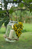 Glass jar as a lantern with a heart of tansy (Tanacetum vulgare)
