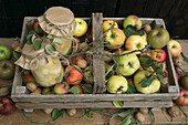 Wooden box with quinces, apples, walnuts and quince puree